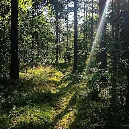 Dziupla U Szpaka Semesterbostad