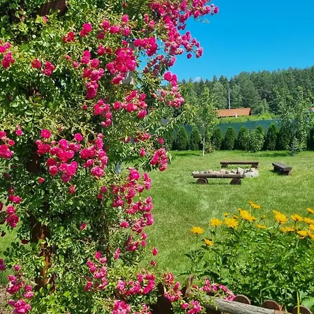 度假居 Dziupla U Szpaka *