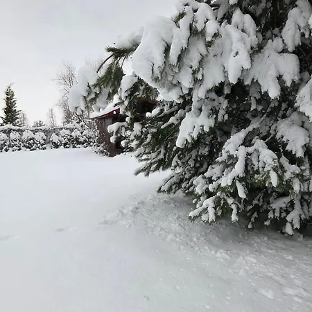 Dziupla U Szpaka 度假居