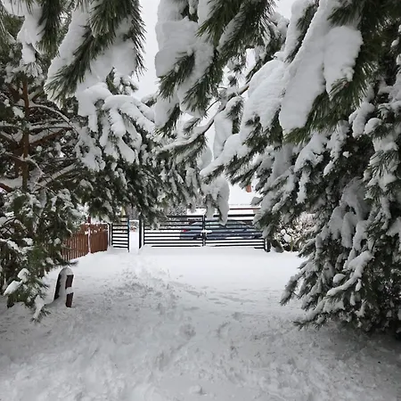 Dziupla U Szpaka * Kątno