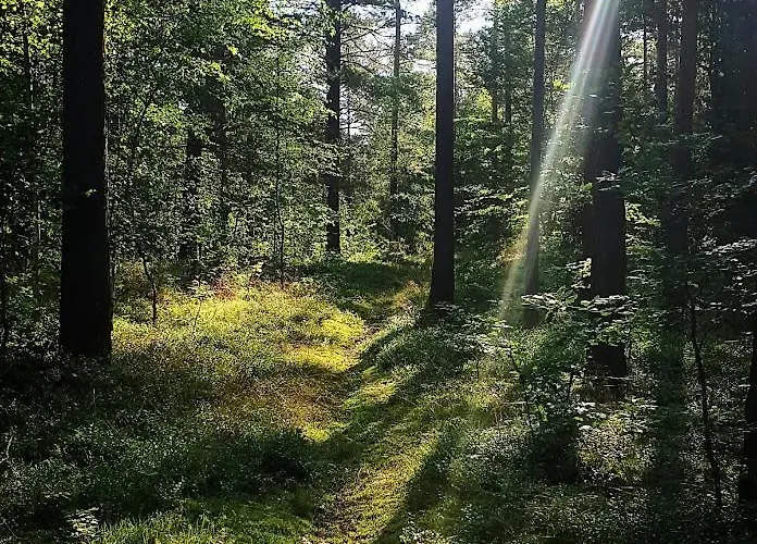 Dziupla U Szpaka Holiday home