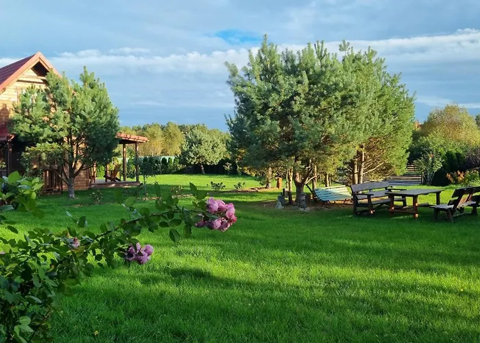 Dziupla U Szpaka * Katno