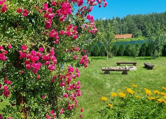 Holiday home Dziupla U Szpaka *