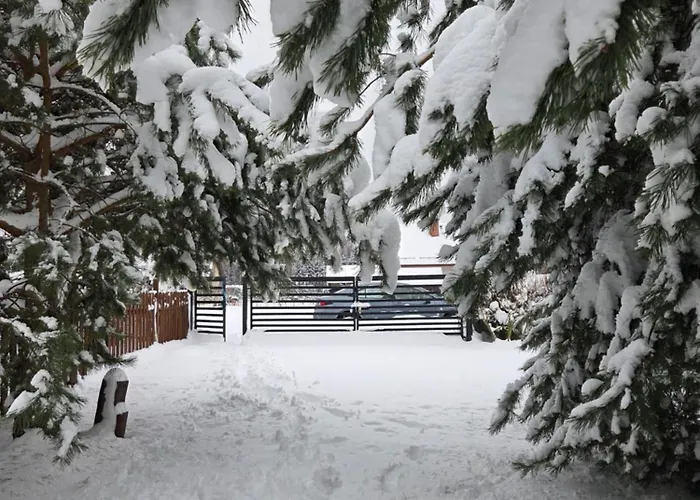Dziupla U Szpaka * Katno